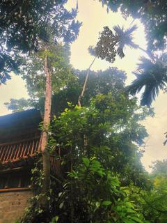 River cottage Demodara - 9