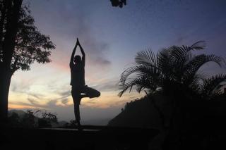 Ella Jungle Rock - Ella - 8