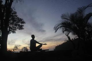 Ella Jungle Rock - Ella - 6