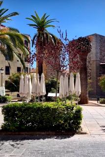 Apartamento Las Bóvedas - Cáceres - 7