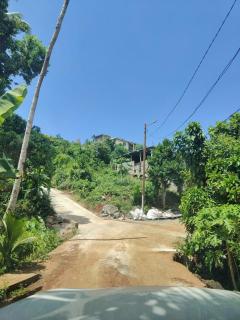 Le Vert Santal - T2 chaleureux et confortable - 1