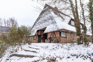 Ole Schün Dannau - 0