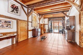 Ole Schün Dannau - 6