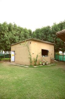 Kala Kutir Mud Stay near Taj Mahal King sized bed - 3