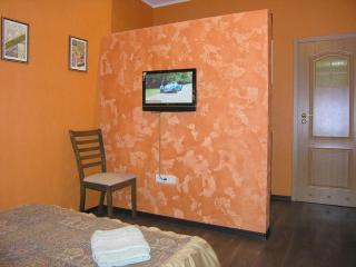 Apartment close to metro station Pushkinska - 5