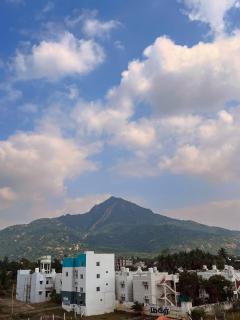 VV Guest House & Rooms - 3