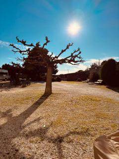 B&B El Ranxo - Franciach - 8