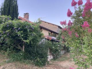 Le chat qui peche - 6