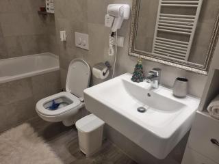 Coresi View Apartment - 1