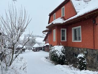 Pensiunea Melinda - 0