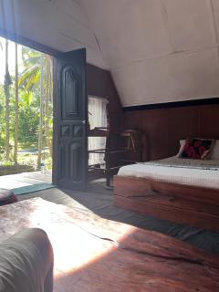 Brooklyne Jungle Nest - 1