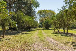Quinta San José- Casa de Campo- 1892 -  - 7