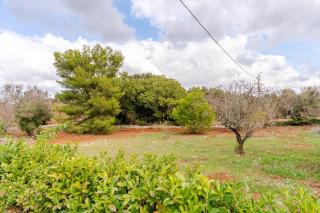 Trullo La Cicala Bianca - 1