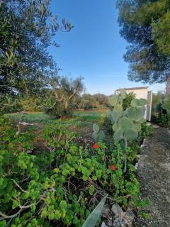 Trullo La Cicala Bianca - 8