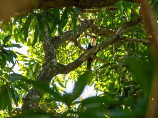 Quinta San José- Casa de Campo- 1892 -  - 6