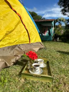 Casa de Campo Vive - 5