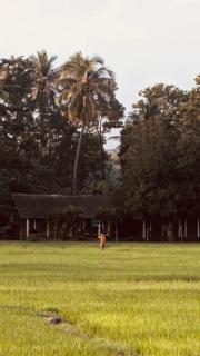 Man Guest Polonnaruwa - 8