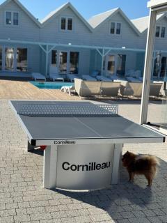 DESTINO wakacyjne domki-dwa podgrzewane baseny-drink bar - 3