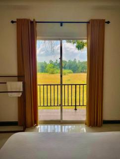 Man Guest Polonnaruwa - 0