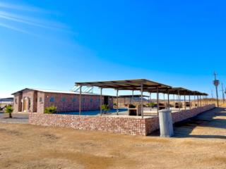 Daures Eco Lodge and Campsite - 6