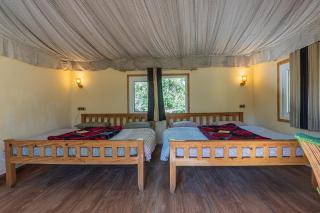 Nature Drops, Pangot - 5