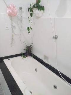 Casa das Plantas - 6