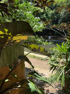 Dança das águas - 1