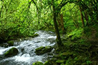 Spacious, bright and comfortable bedrooms - 2