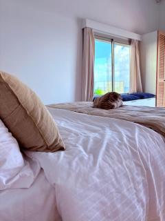 Maly blue - villa Atlantik - 9