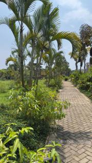 3 bedrooms Entebbe Lake-House with Pool,Private Beach, Kids Park and AC - 1