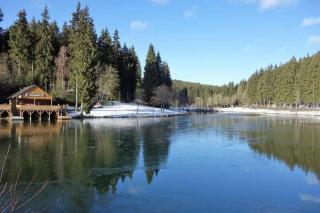 Apartment Lale - Frankenwald, Seeblick & Rennsteig - 1