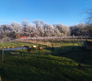 La Barre Tiny Haus im Weinberg - 5