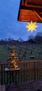 La Barre Tiny Haus im Weinberg - 6