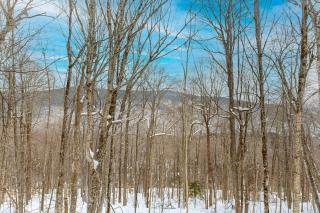 Snowy Day Chalet - 8