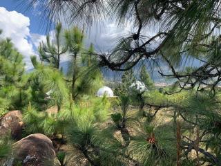 AWA ECO GlAMPING SPA - 7