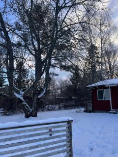 Sofias Lovely Little House - 6