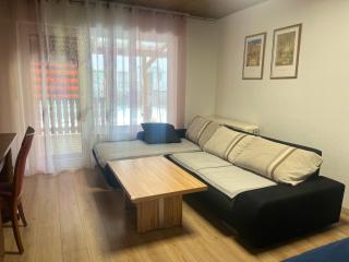 Apartment NBG im Zentrum - Núremberg - 9