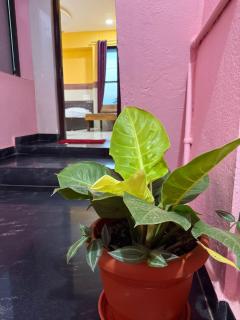 Moonstar guesthouse - 4