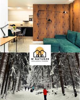 W Naturze - Apartament dla Aktywnych z Widokiem na Las, Szlaki, Rowery, Biegówki, blisko Jakuszyc i Czech - 0