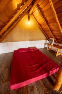 Dins Nature Villa - 6