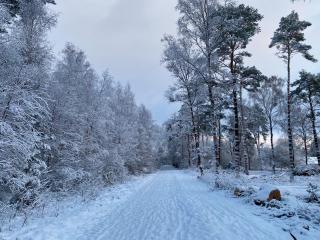 Modern chalet op de Veluwe - 9