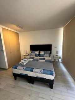 Departamento moderno con ubicación privilegiada en el centro de Santiago, cercano a Palacio De La Moneda y lugares turísticos de la ciudad - 8