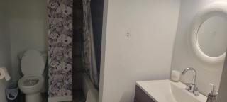 Beautiful basement - 7