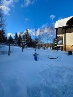 W Naturze - Apartament dla Aktywnych z Widokiem na Las, Szlaki, Rowery, Biegówki, blisko Jakuszyc i Czech - 4