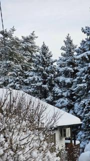 Napsugár vendégház - 8