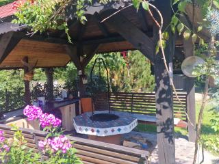 Porumbacu Retreat-Cabana Forest A-frame și Chalet Max cu jacuzzi și piscină sezonieră, pe malul râului ,în apropiere de Transfăgărășan, Sibiu - 8
