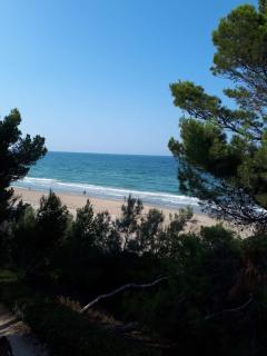 Appartamento Pineto Centro - 0