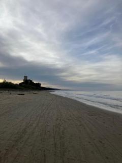 Appartamento Pineto Centro - 6