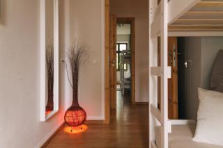 arena guest apartment - 4