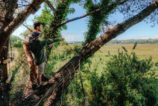 Hotel Puerta del Sur - 2